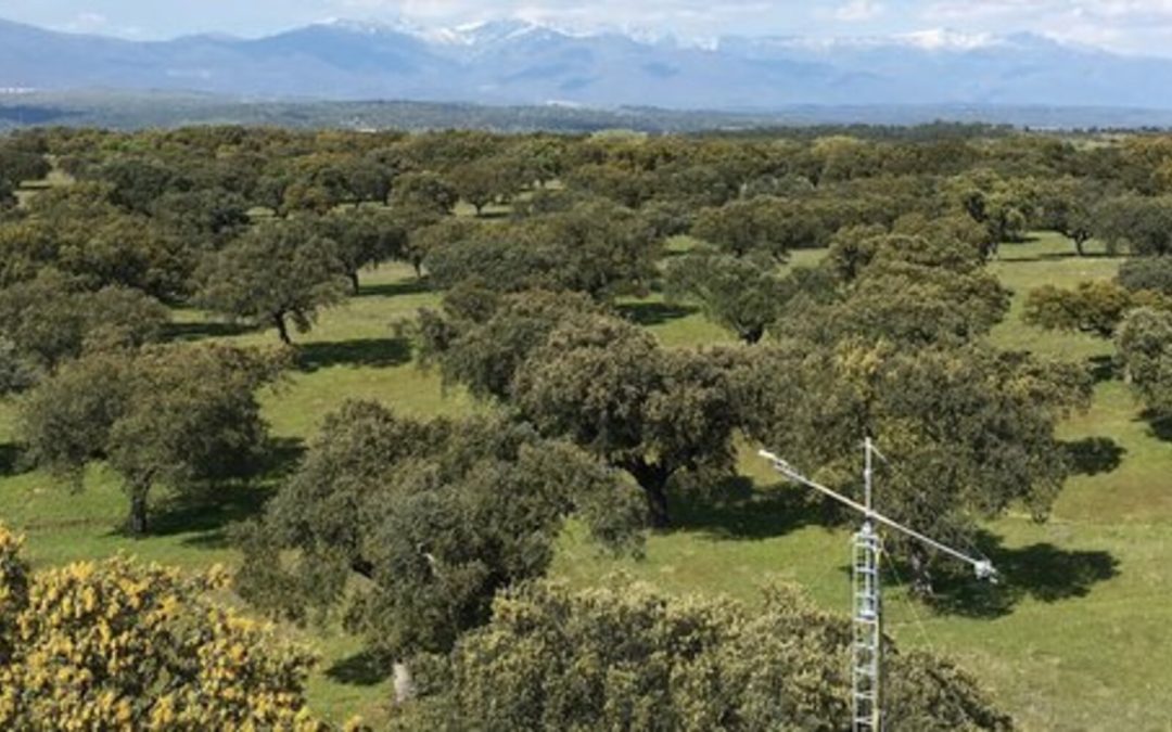 Majadas de Tiétar Ecosystem Station