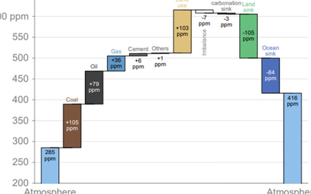 Global Carbon Balance 2023